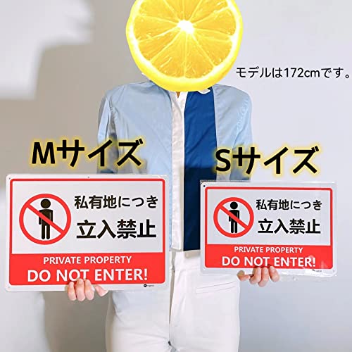 防犯カメラ作動中プレート ヨコ型 Mサイズ 4枚セット