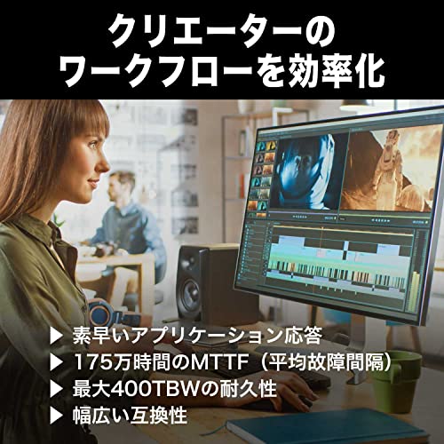 ウエスタンデジタル SSD 2TB 2.5インチ